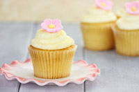 Cooking expert article: Feed a (Spring) Fever