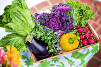 Cooking expert article: The Gulps: Is This Your Family?