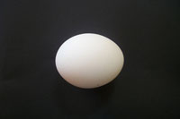Cooking expert article: An Egg For Any Time of the Day