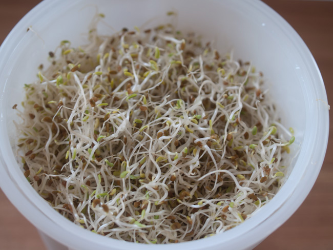 Not Just Homemade, But Homegrown!