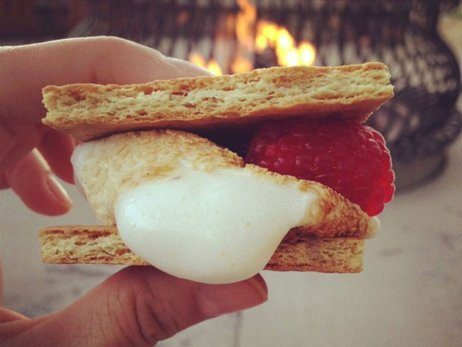 raspberry & chocolate mint s'mores