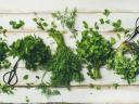 Play Tuesday's Jigsaw Puzzle