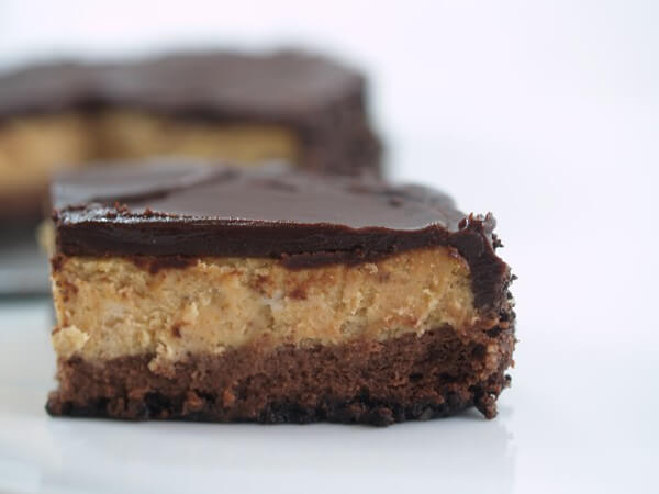 Dark Chocolate and Pumpkin Cheesecake