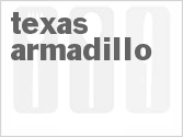 Texas Armadillo Texas Armadillo